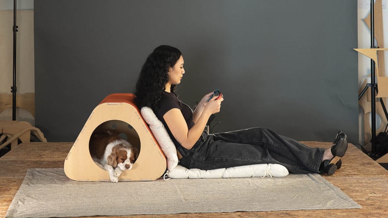 "Doggy Loungey" by Tsia Design using Plyco's Exterior Hardwood Plywood Panels, photo by Never Too Small