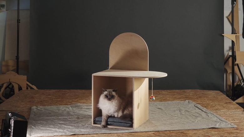 "Pet Level" by Studio Mamma using Plyco's 12mm Exterior Hardwood Plywood Materials. Photo by Never Too Small