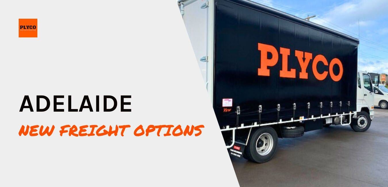 Plyco Rust Plyco: What's Coming In 2025