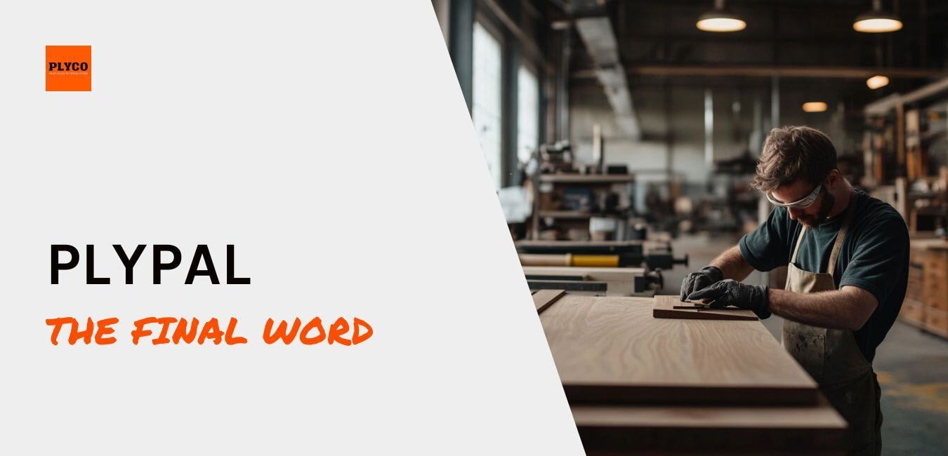 plyco-blog-plypal-update-2025-4