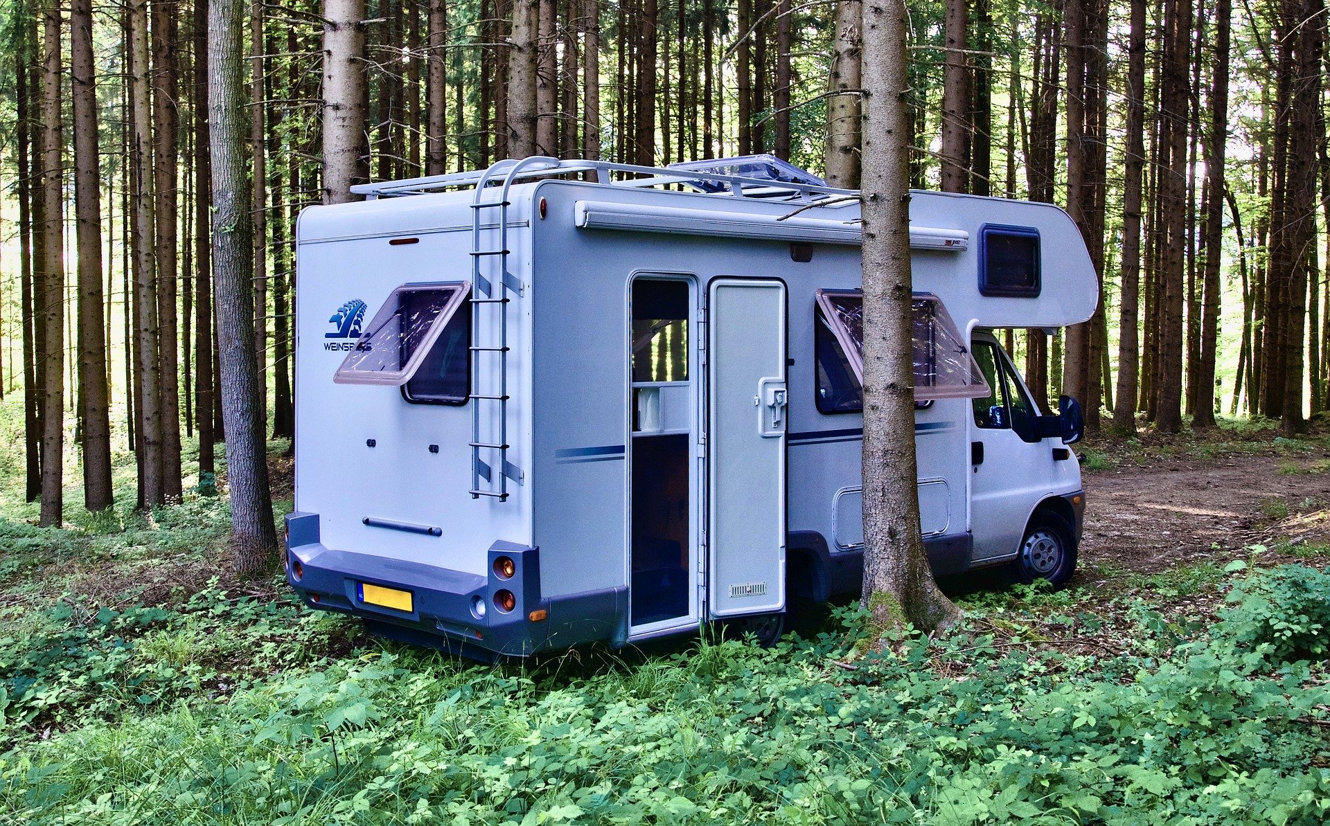 best plywood for campervans and caravans